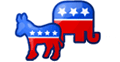 Election icon