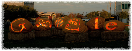 Halloween Halloween